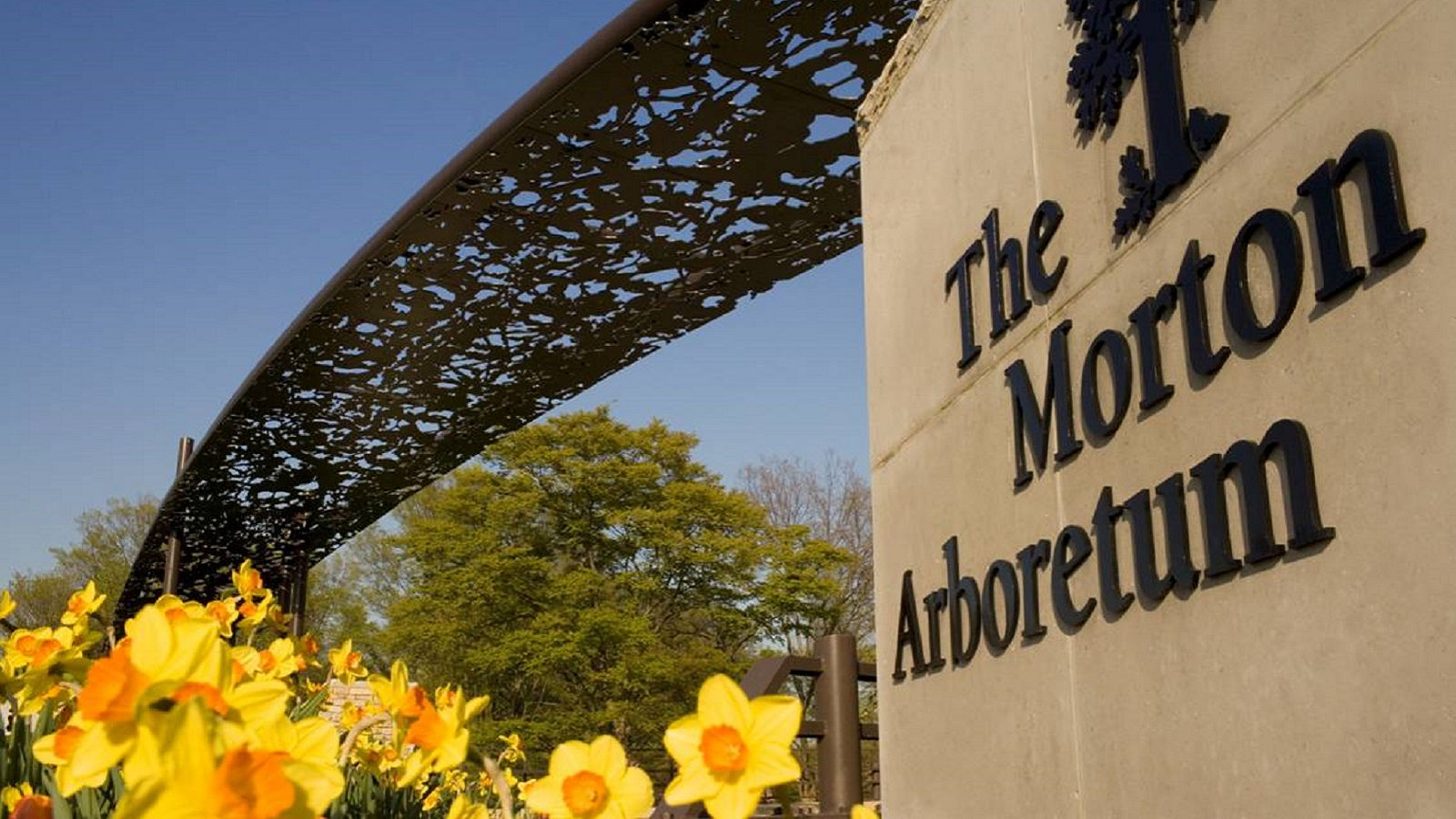 things to do include visiting morton arboretum